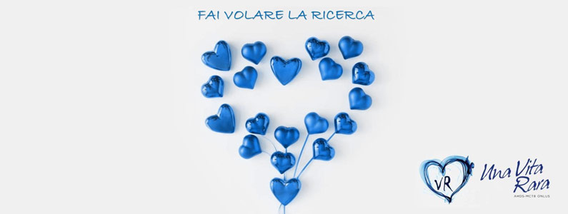 Fai volare la ricerca